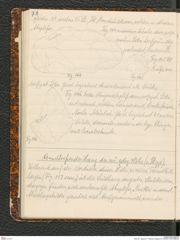 Seite 82, Tagebuch "Palästina (Tagebuch)" (NHMW-PRAE-BBB-80)